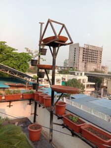 Bird Feeder at Terrace Garden