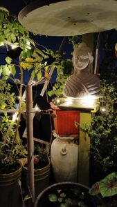 Buddha Statue Night View