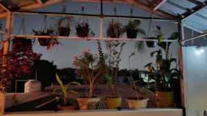 Terrace Garden View Night