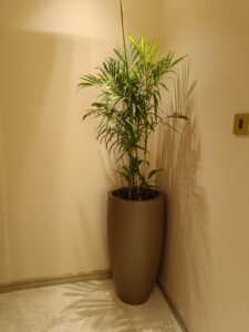 Planter for Room Corner